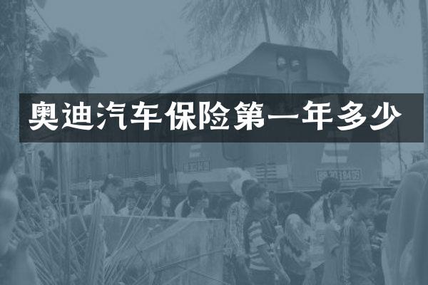 奥迪汽车保险第一年多少