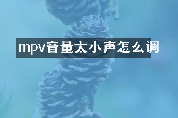 mpv音量太小声怎么调
