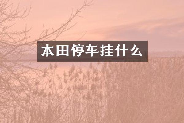 本田停车挂什么