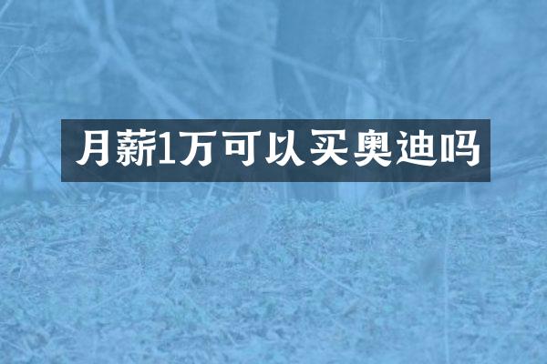 月薪1万可以买奥迪吗