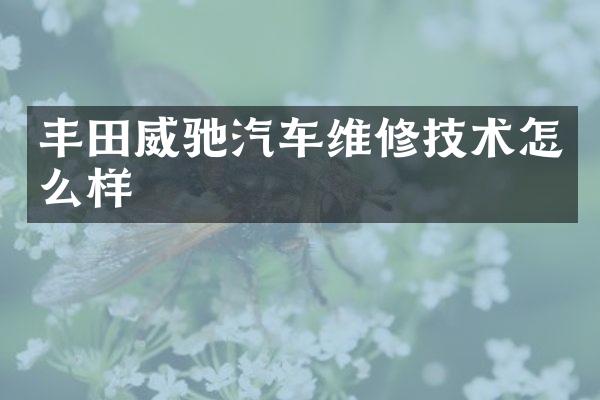 丰田威驰汽车维修技术怎么样