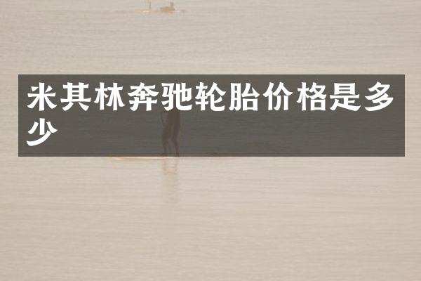 米其林奔驰轮胎价格是多少