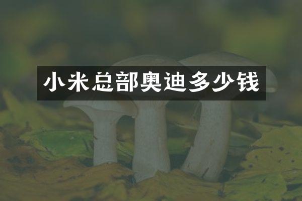 小米总部奥迪多少钱