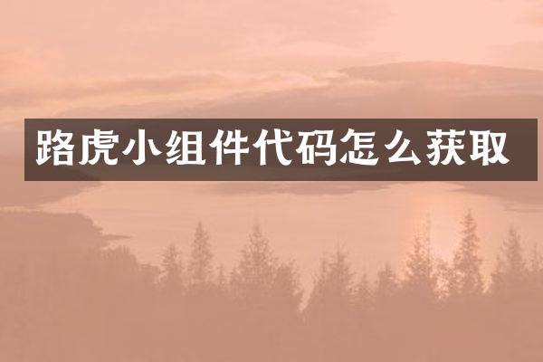 路虎小组件代码怎么获取