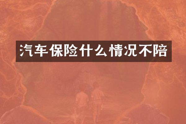 汽车保险什么情况不陪