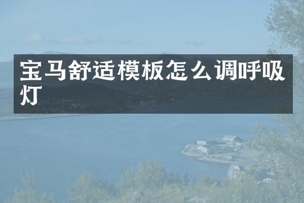 宝马舒适模板怎么调呼吸灯
