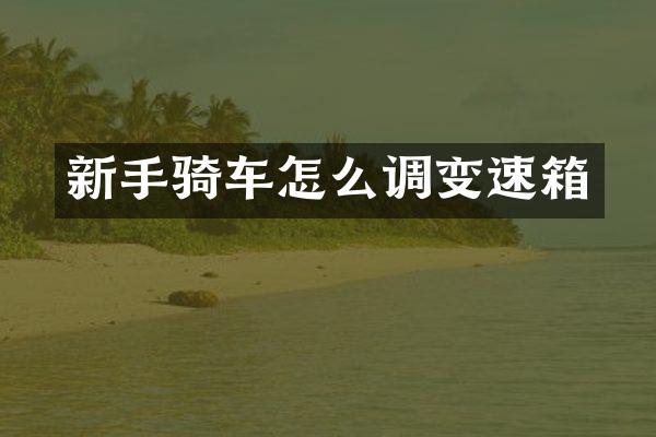 新手骑车怎么调变速箱