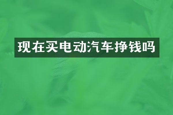 现在买电动汽车挣钱吗