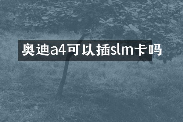 奥迪a4可以插slm卡吗