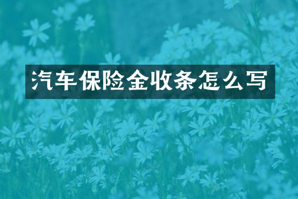 汽车保险金收条怎么写