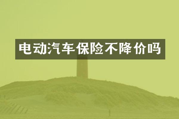 电动汽车保险不降价吗