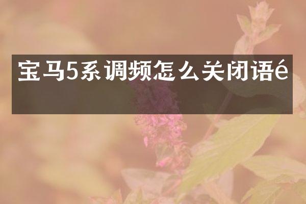 宝马5系调频怎么关闭语音