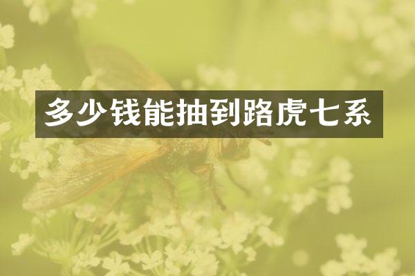 多少钱能抽到路虎七系