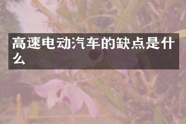 高速电动汽车的缺点是什么