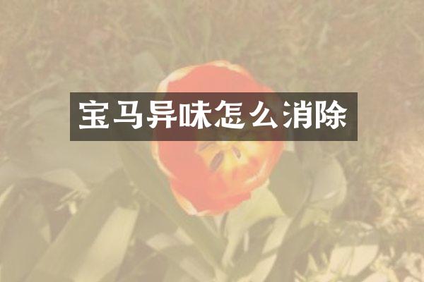 宝马异味怎么消除