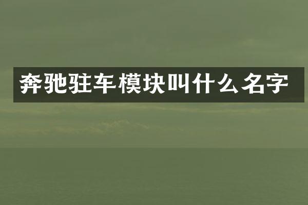 奔驰驻车模块叫什么名字