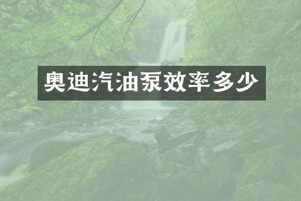 奥迪汽油泵效率多少