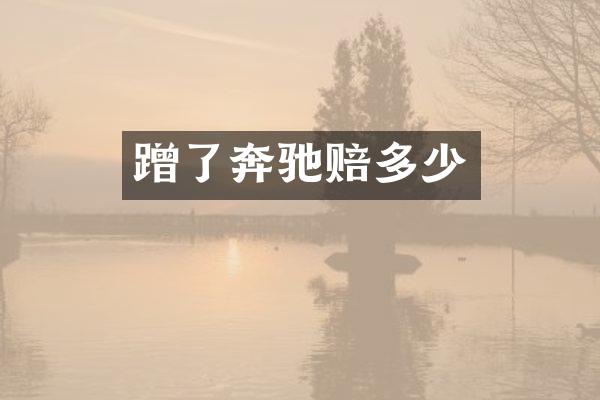 蹭了奔驰赔多少