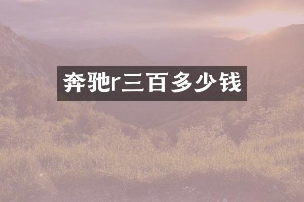 奔驰r三百多少钱