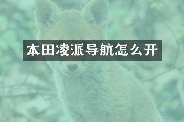 本田凌派导航怎么开