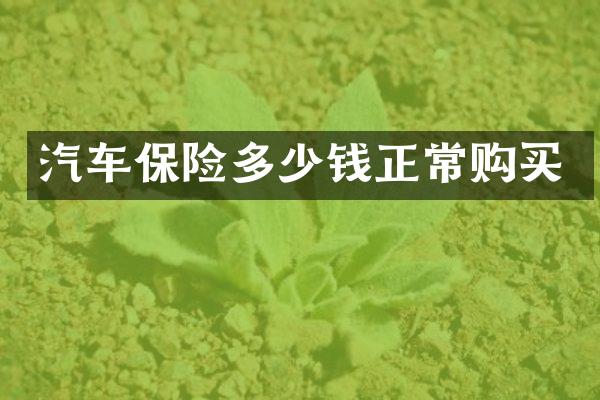 汽车保险多少钱正常购买