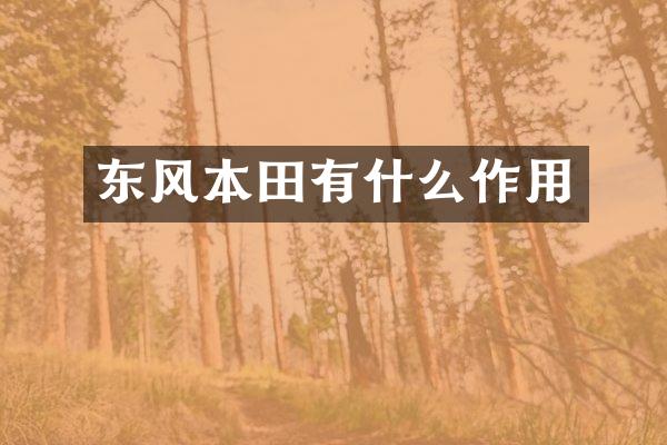 东风本田有什么作用