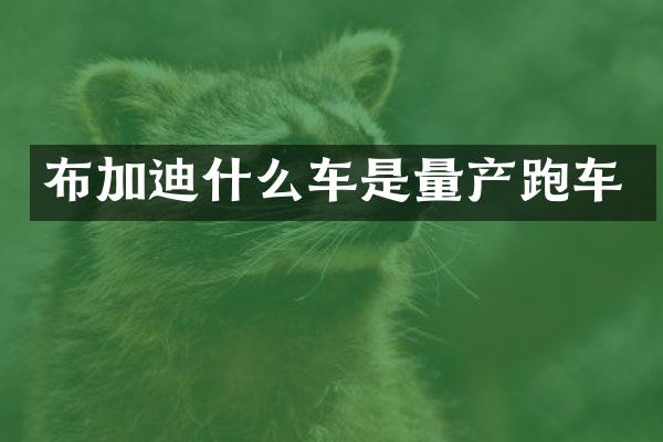 布加迪什么车是量产跑车