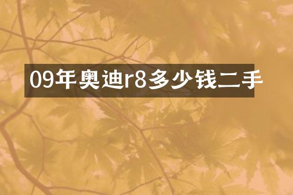 09年奥迪r8多少钱二手