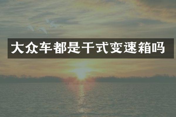 大众车都是干式变速箱吗