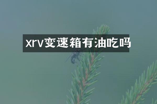xrv变速箱有油吃吗