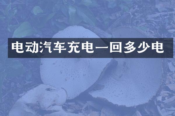电动汽车充电一回多少电