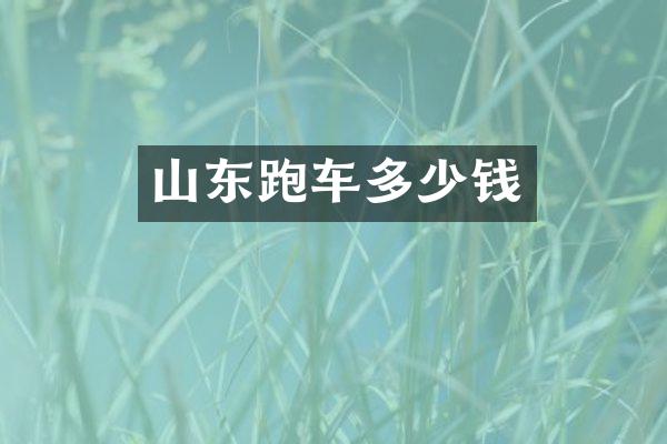 山东跑车多少钱
