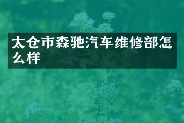 太仓市森驰汽车维修部怎么样
