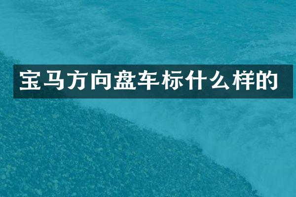 宝马方向盘车标什么样的