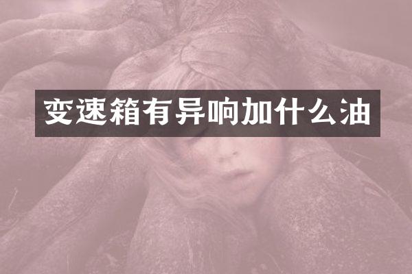 变速箱有异响加什么油