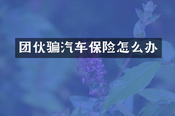 团伙骗汽车保险怎么办