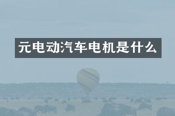 元电动汽车电机是什么