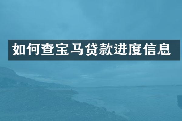 如何查宝马贷款进度信息