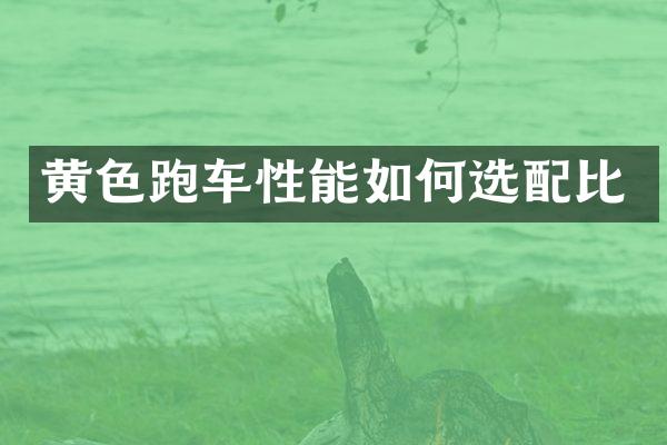 黄色跑车性能如何选配比