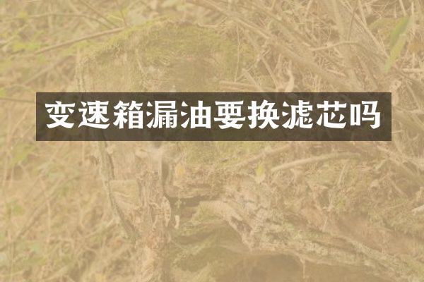 变速箱漏油要换滤芯吗