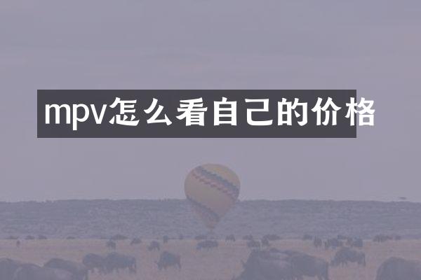 mpv怎么看自己的价格