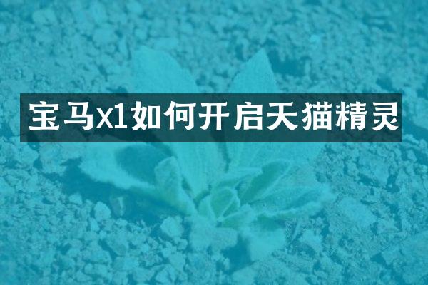 宝马x1如何开启天猫精灵
