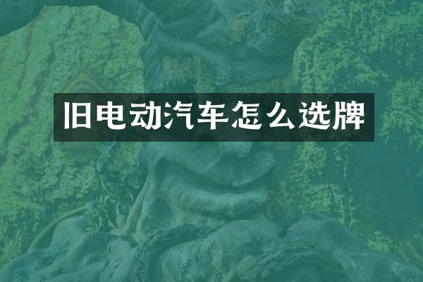 旧电动汽车怎么选牌