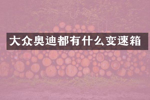 大众奥迪都有什么变速箱