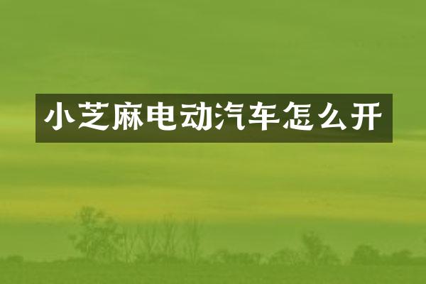 小芝麻电动汽车怎么开