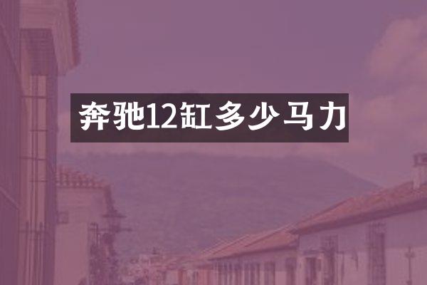 奔驰12缸多少马力