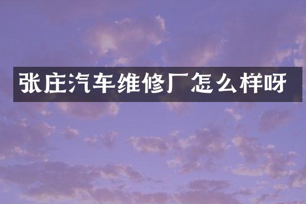 张庄汽车维修厂怎么样呀