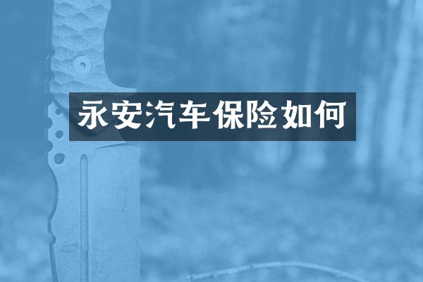 永安汽车保险如何