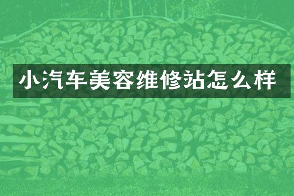 小汽车美容维修站怎么样