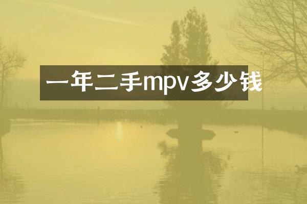 一年二手mpv多少钱